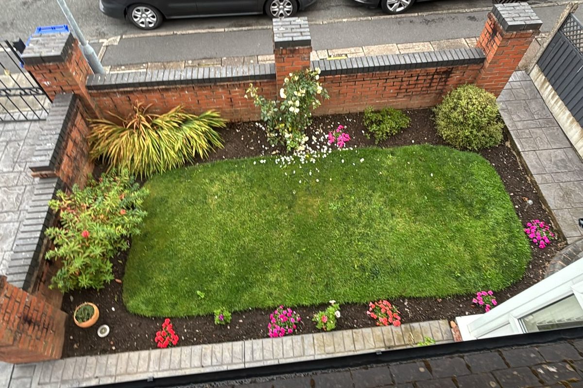 Front garden before: worn lawn and mixed border